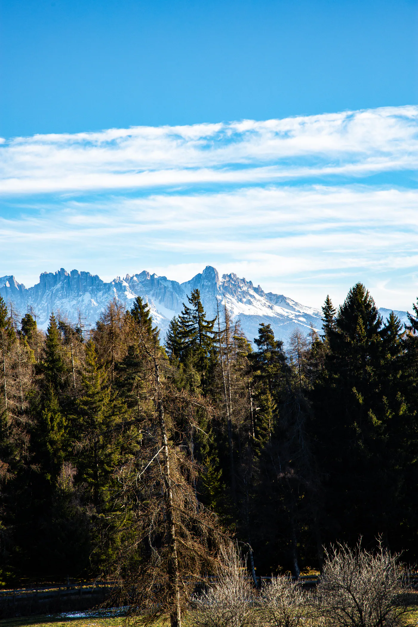 Nadelwald unter blauem Himmel mit dünnen Wolkenbändern, dahinter ein schneebedeckter, felsiger Gebirgszug
